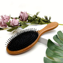 Anti Static Bristle Hair Brush for Smooth Hair