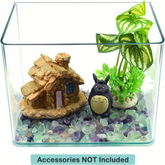 Crystal Quartz Pebbles for Aquariums and Decor - 100-500g