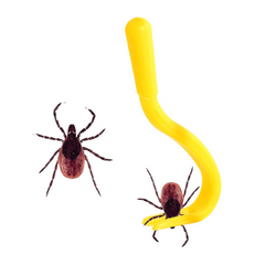 Tick Remover Hook Set for Pets and Humans