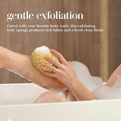 2pcs Natural Exfoliating Loofah Sponge Body Scrubber