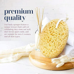 2pcs Natural Exfoliating Loofah Sponge Body Scrubber