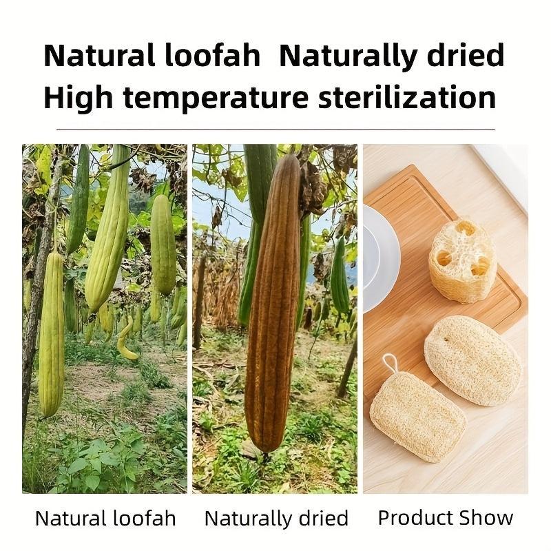 Exfoliating Body Scrubber Loofah Luffa Loofa Sponge for Bathing Showering Spa