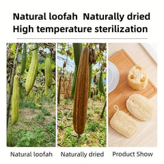 Exfoliating Body Scrubber Loofah Luffa Loofa Sponge for Bathing Showering Spa
