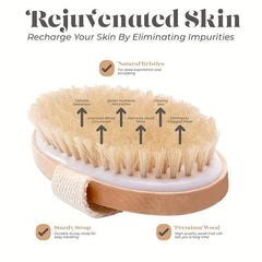 Natural Bristle Shower Brush Exfoliating Body Brush for Body Drainage
