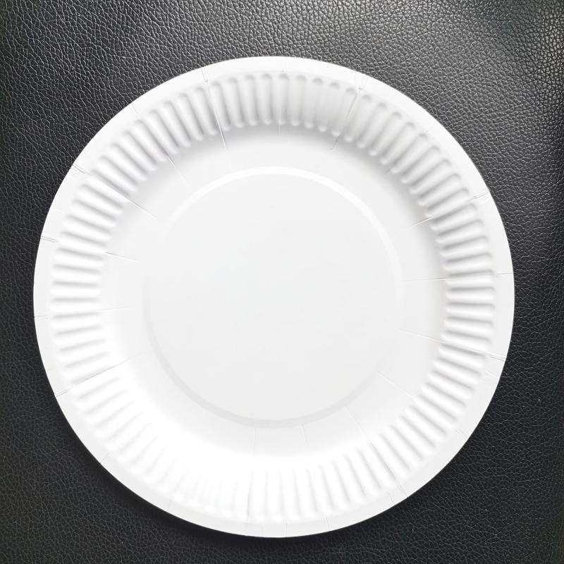 50pcs Disposable Round Paper Plate DIY Paper Dinner Plate