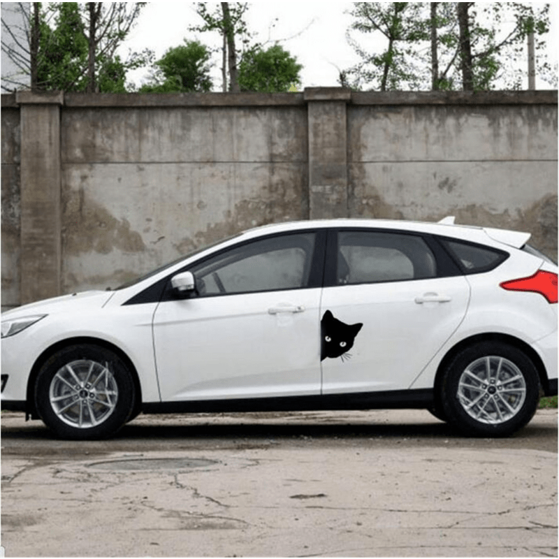 Fun Animal Car Stickers - Decorate Your Vehicle!