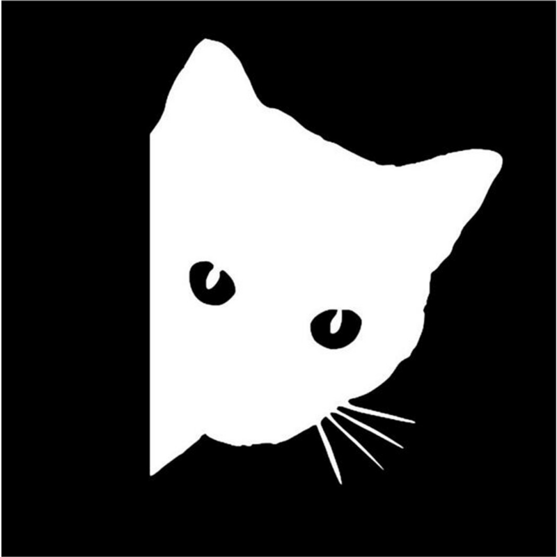 Fun Animal Car Stickers - Decorate Your Vehicle!
