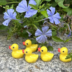 Ducking Love You Pocket Duck Cheer Up Card & Mini Resin Duck Set