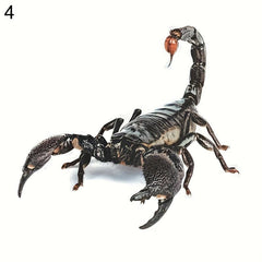 3D Spider Lizard Scorpion Car Stickers Vehicle Window Bumper Decal Decor