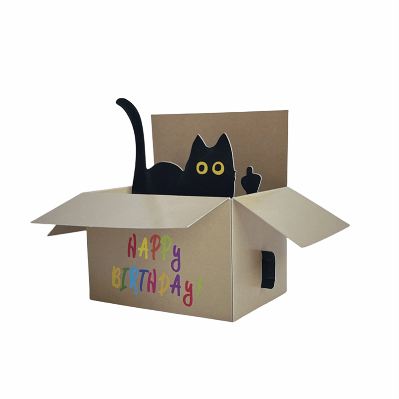 Funny Cat Pop Up Birthday Greeting Card with Envelop & Message Card