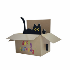 Funny Cat Pop Up Birthday Greeting Card with Envelop & Message Card