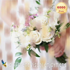6000 Colorful Confetti for Weddings Birthdays & Celebrations