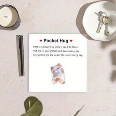 1pc Cats Resin Animal Decorated Pocket Hugs With Encouragement Cards