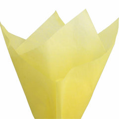 60 Sheets Translucent Wrapping Paper 20x26 Inches for Crafts
