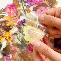 Flower Stickers Large Retro PET Transparent DIY Stickers