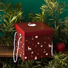 2pcs Christmas Gift Boxes With Lids Cardboard Corrugated Mailer