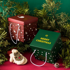 2pcs Christmas Gift Boxes With Lids Cardboard Corrugated Mailer