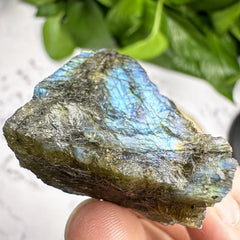 Labradorite Rough Stone 5pcs for Jewelry Making & Home Decor