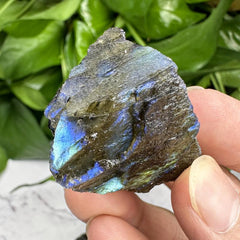 Labradorite Rough Stone 5pcs for Jewelry Making & Home Decor