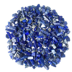 Natural Lapis Lazuli Tumbled Chip Stone Healing Crystal Quartz Succulent Filler