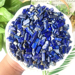 Natural Lapis Lazuli Tumbled Chip Stone Healing Crystal Quartz Succulent Filler