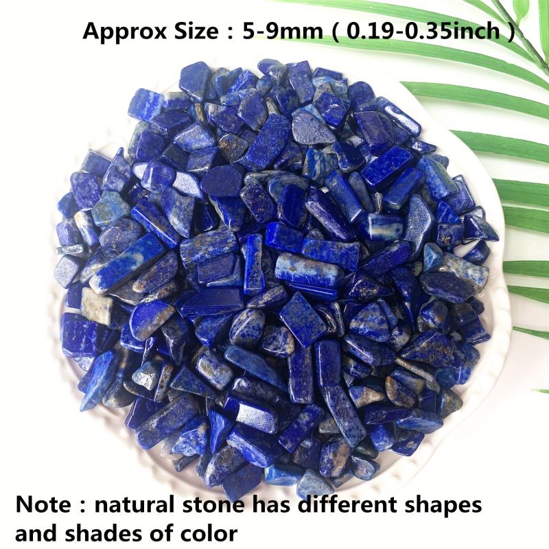 Natural Lapis Lazuli Tumbled Chip Stone Healing Crystal Quartz Succulent Filler