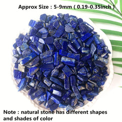 Natural Lapis Lazuli Tumbled Chip Stone Healing Crystal Quartz Succulent Filler