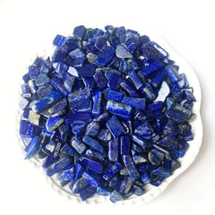Natural Lapis Lazuli Tumbled Chip Stone Healing Crystal Quartz Succulent Filler