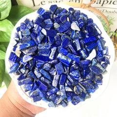 Natural Lapis Lazuli Tumbled Chip Stone Healing Crystal Quartz Succulent Filler