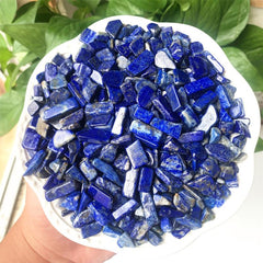 Natural Lapis Lazuli Tumbled Chip Stone Healing Crystal Quartz Succulent Filler