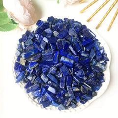 Natural Lapis Lazuli Tumbled Chip Stone Healing Crystal Quartz Succulent Filler