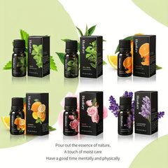 6pcs Aromatherapy Essential Kit Rose Mint 10ml