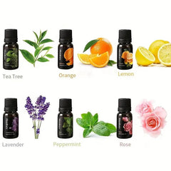 6pcs Aromatherapy Essential Kit Rose Mint 10ml