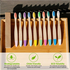10-Pack Colorful Soft Bristle Bamboo Toothbrushes