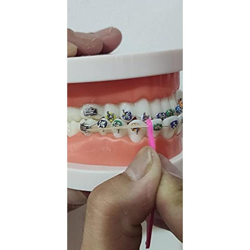 15pcs Dental Rubber Bands Placers Disposable For Braces