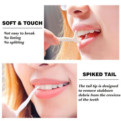 Dental Floss Portable Case Storage 10 Picks Adult Floss In Box