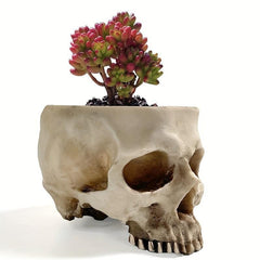 Skull Planter Pot for Indoor Plants Halloween Decor