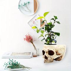 Skull Planter Pot for Indoor Plants Halloween Decor