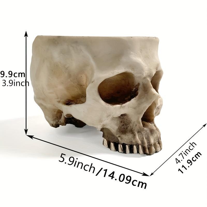 Skull Planter Pot for Indoor Plants Halloween Decor