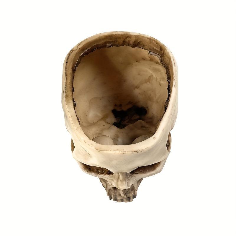 Skull Planter Pot for Indoor Plants Halloween Decor