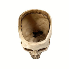 Skull Planter Pot for Indoor Plants Halloween Decor
