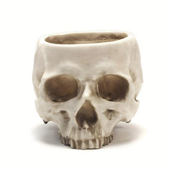 Skull Planter Pot for Indoor Plants Halloween Decor
