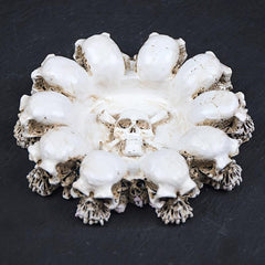 Creative Skull Ashtray Retro Decorative Ashtray Home Hotel Bar Office Gift
