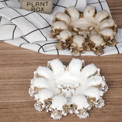 Creative Skull Ashtray Retro Decorative Ashtray Home Hotel Bar Office Gift