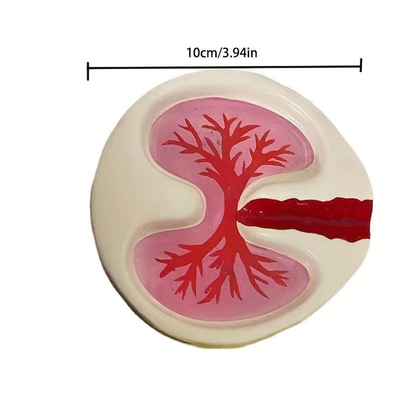 Creative Lung Ashtray Decorative Ashtrays For Home Hotel Bar Office