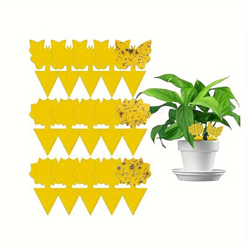 30pcs Fruit Fly Trap Sticky Traps Gnat Yellow Sticky Mosquito Trap