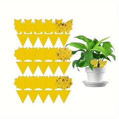 30pcs Fruit Fly Trap Sticky Traps Gnat Yellow Sticky Mosquito Trap