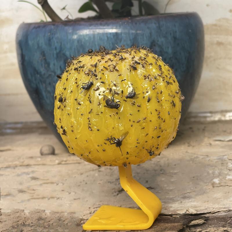 2pcs Pumpkin Fly Attracting Ball Sticky Flying Insect Mosquito Flies