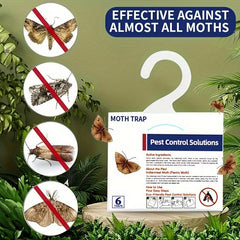 6pcs Moth Trap Folding Flying Insect Trap Indoor Outdoor Pest Control