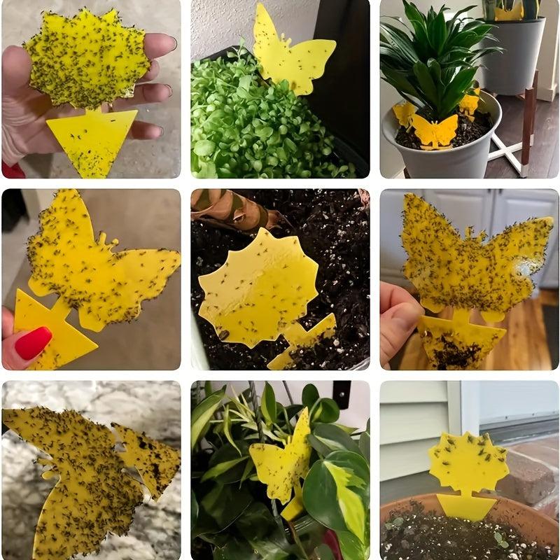Special Shaped Insect Trap Board - Indoor & Outdoor Use